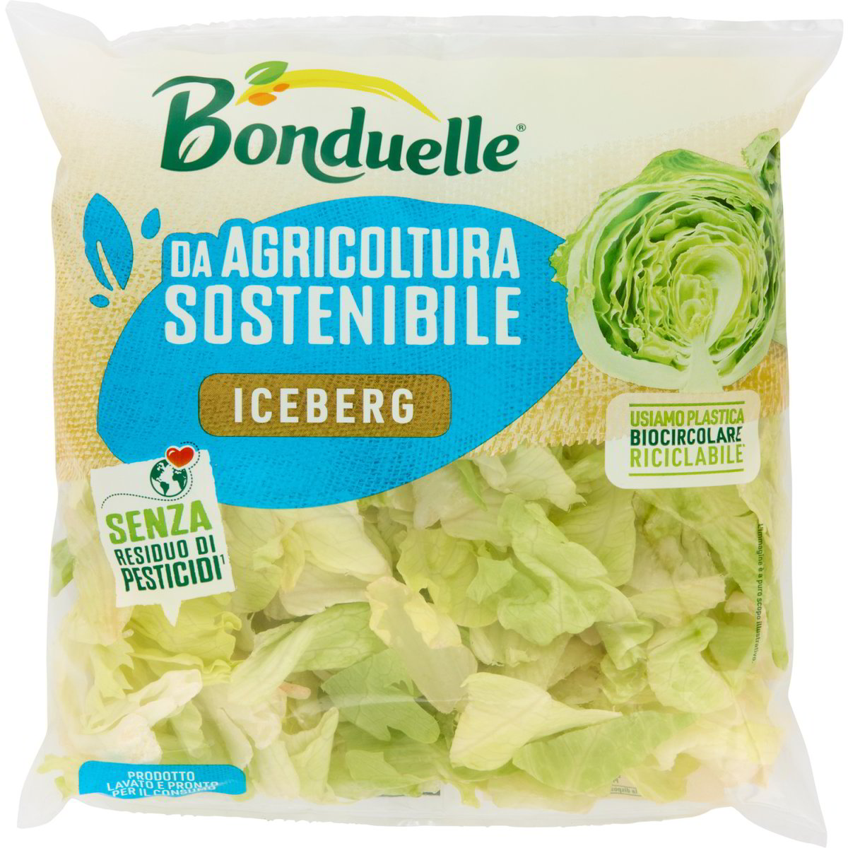 Insalata iceberg
