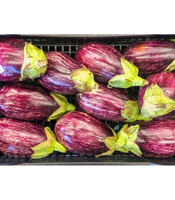 Melanzane 1kg