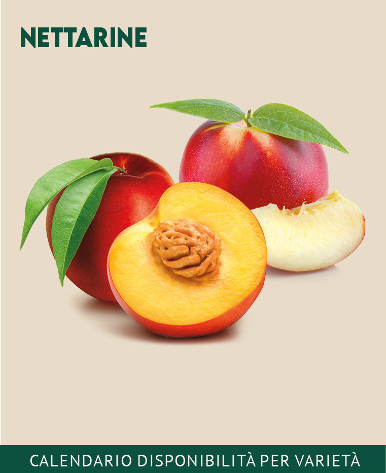 Nettarine 1kg