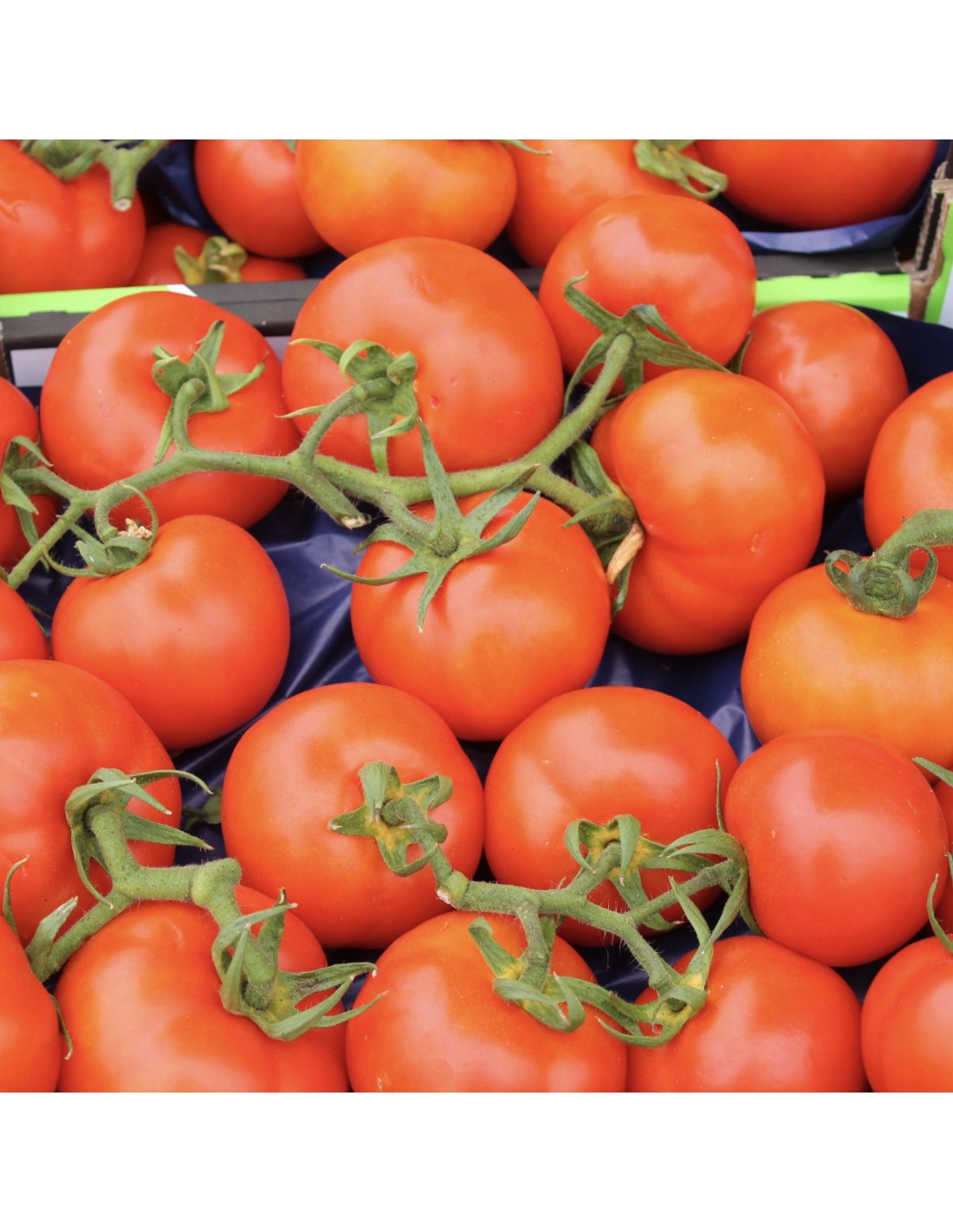 Pomodori ramati 1kg