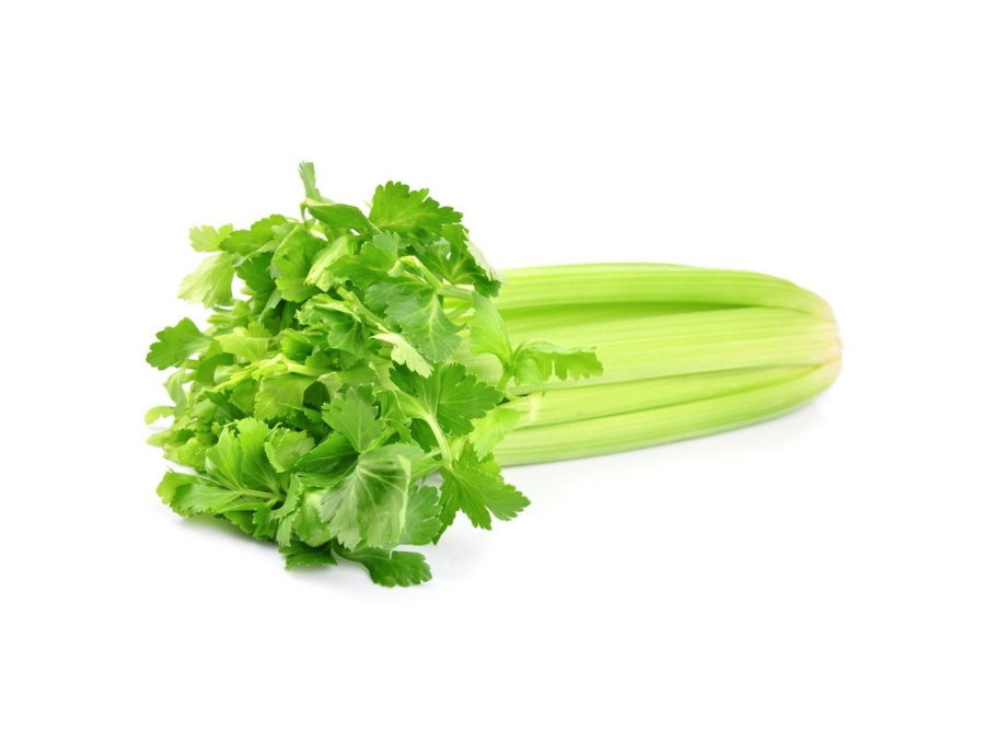 Sedano 1 pezzo